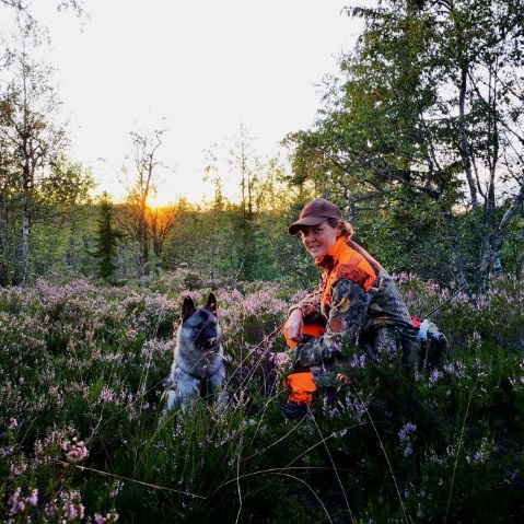 Påmelding til sporprøver, og jaktprøver bandhund og løshund kan gjøres via NKK nå