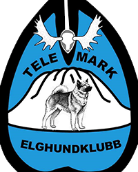 Uttak til NM Løshund og UM Bandhund