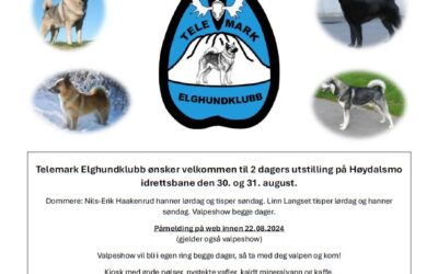 Vest-Telemark Utstillinga 2025