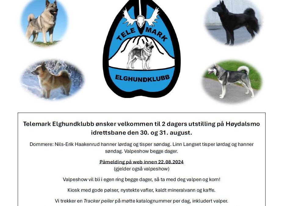 Vest-Telemark Utstillinga 2025