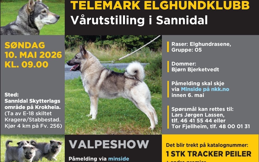 Utstilling i Sannidal!