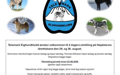 Velkommen til utstilling i Vest-Telemark!